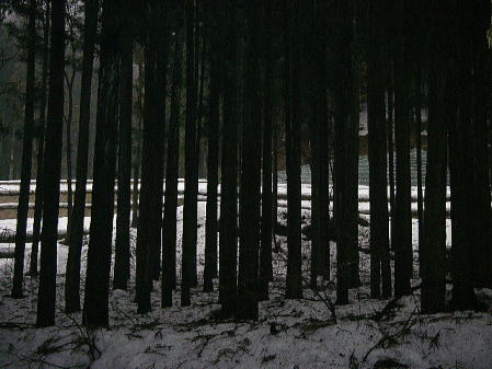 ひとつの足跡もなく